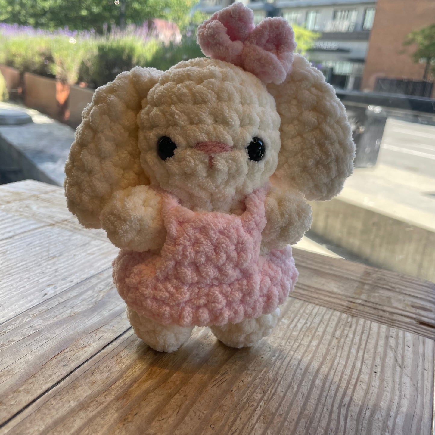 Poppy